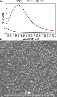 Biogenic Silver Nanoparticles Strategically Combined With Origanum vulgare Derivatives: Antibacterial Mechanism of Action and Effect on Multidrug-Resistant Strains